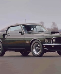 Classic Black 1969 Ford Mustang Fastback Paint By Numbers