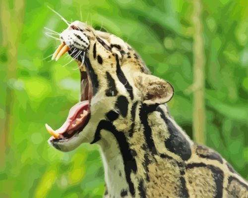 Clouded Leopard Paint By Numbers