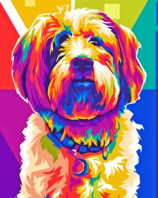 Cockapoo Dog Paint By Numbers