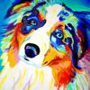 Colorful Mini Australian Shepherd Paint By Numbers