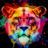 Colorful Lioness Paint By Numbers