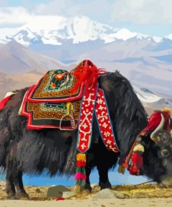 Domestic Yak Paint By Numbers