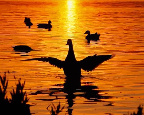 Duck Sunset Paint By Numbers