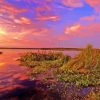 Emeralda Marsh Sunset Paint By Numbers