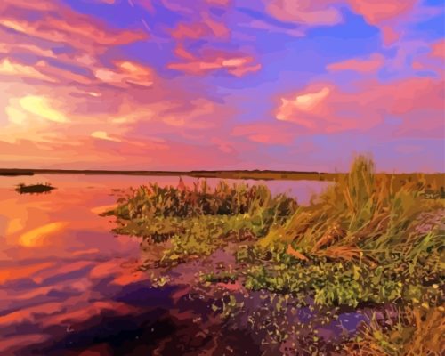 Emeralda Marsh Sunset Paint By Numbers