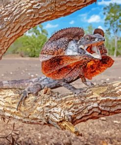 Frill Necked Lizard Paint By Numbers