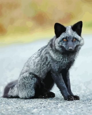 Little Silver Fox Paint By Numbers