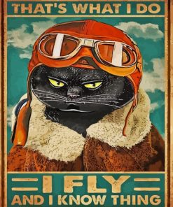 Pilot Cat Poster Paint By Numbers