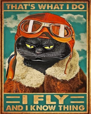 Pilot Cat Poster Paint By Numbers