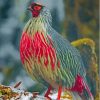 Red Blood Pheasant Paint By Numbers