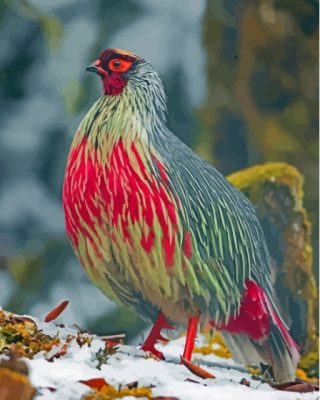 Red Blood Pheasant Paint By Numbers