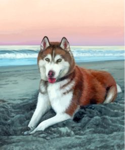 Red Husky Dog In The Beach Paint By Numbers