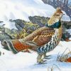 Ruffed Grouse Bird Paint By Numbers