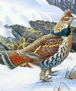 Ruffed Grouse Bird Paint By Numbers