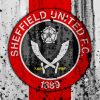 Sheffield United Football Logo Paint By Numbers