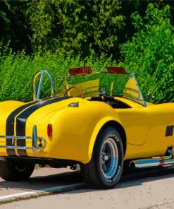 Shelby Cobra Black And Yellow Paint By Numbers