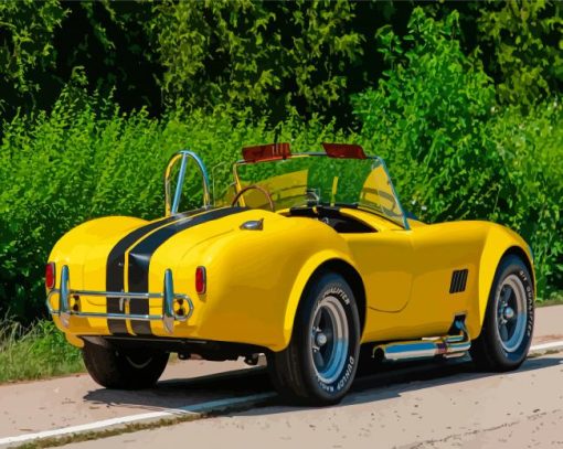 Shelby Cobra Black And Yellow Paint By Numbers