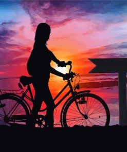 Sunset Bicycle Tour Silhouetts Paint By Numbers