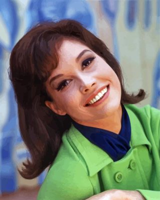 The Mary Tyler Moore Show Paint By Numbers