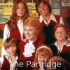 The Partridge Family Paint By Numbers