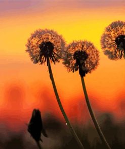 Three Dandelions Paint By Numbers