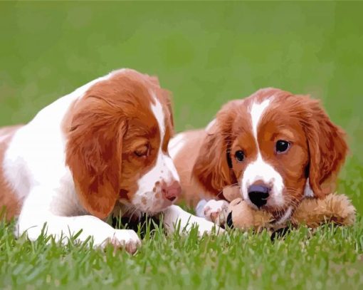 Two Brittany Puppies Dogs Paint By Numbers