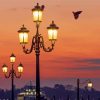 Venice Lamplight Paint By Numbers