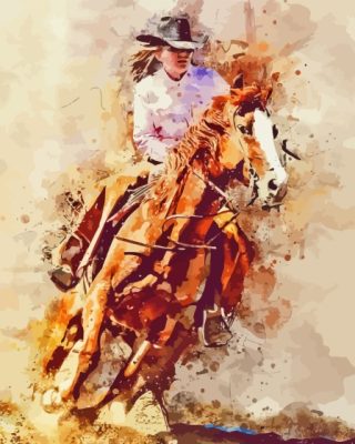 Abstract Western Cowgirl With Horse Paint By Numbers