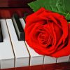 Aesthetic Piano Keys With Rose Paint By Numbers