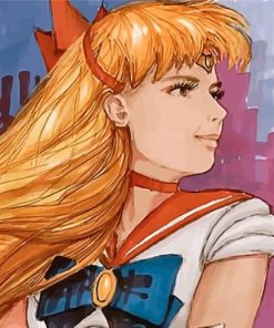 Aesthetic Sailor Venus Paint By Numbers