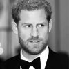 Black And White Prince Harry Paint By Numbers