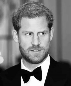 Black And White Prince Harry Paint By Numbers