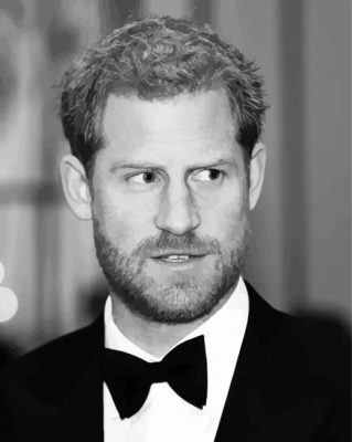 Black And White Prince Harry Paint By Numbers