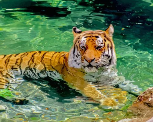 Cute Tiger In The Water Paint By Numbers