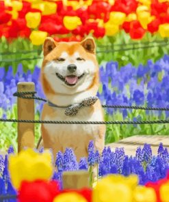 Happy Shiba In Colorful Tulips Flowers Field With Painting By Numbers