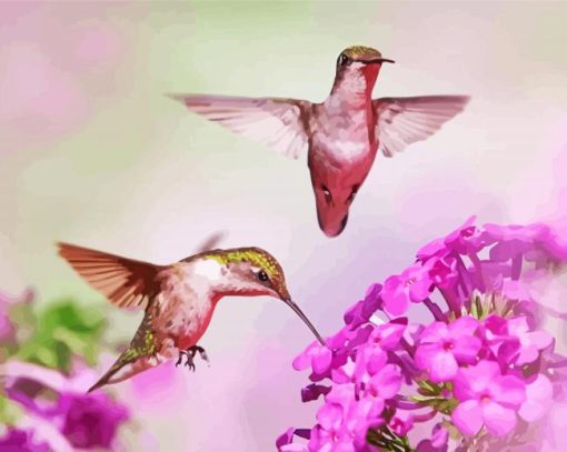 Hummingbird Paint By Numbers