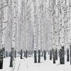 Snowy Winter Aspen Trees Paint By Numbers