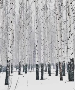 Snowy Winter Aspen Trees Paint By Numbers