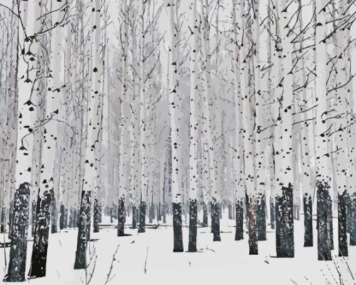 Snowy Winter Aspen Trees Paint By Numbers