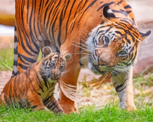 Tiger Cub With Dad Paint By Numbers