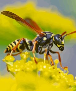 Wasp Flower Paint By Numbers