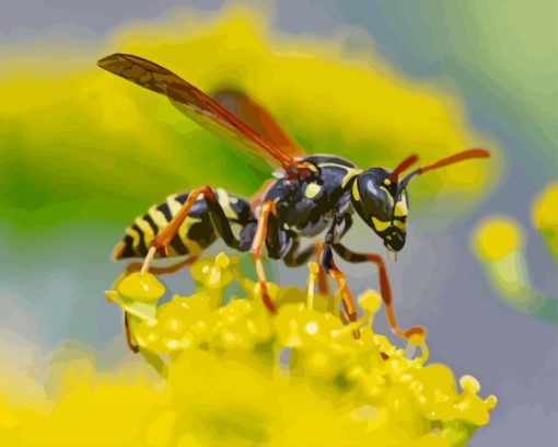 Wasp Flower Paint By Numbers