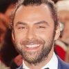 Aidan Turner Smiling Paint By Numbers