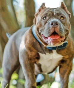 American Bully Puppy Paint By Numbers