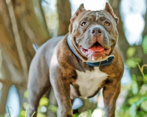 American Bully Puppy Paint By Numbers