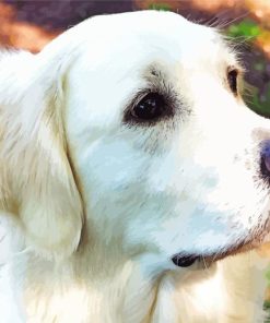 Cream Retriever Dog Paint By Numbers