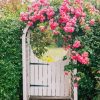 Garden Gate Pink Flowers Paint By Numbers