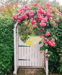 Garden Gate Pink Flowers Paint By Numbers