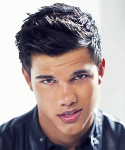 Handsome Taylor Lautner Paint By Numbers