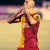 Nordin Amrabat Paint By Numbers